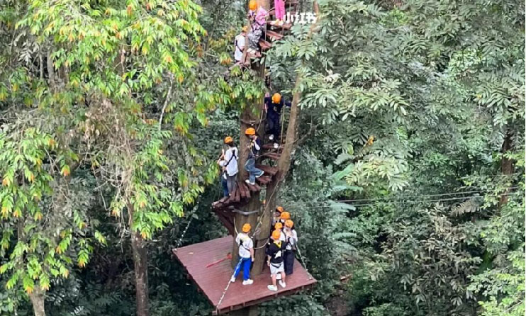丛林飞跃2